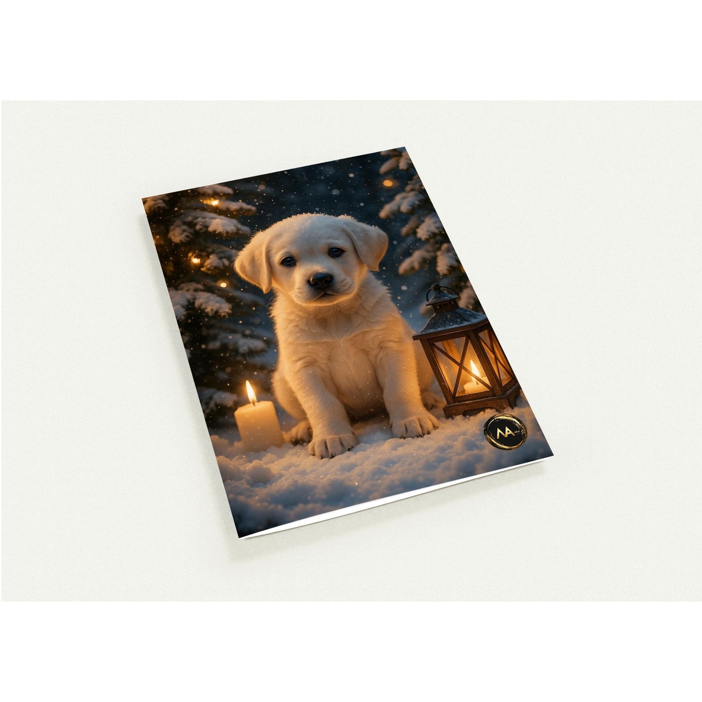 ca3769fe-f5b3-4637-aed5-c77376cff5be